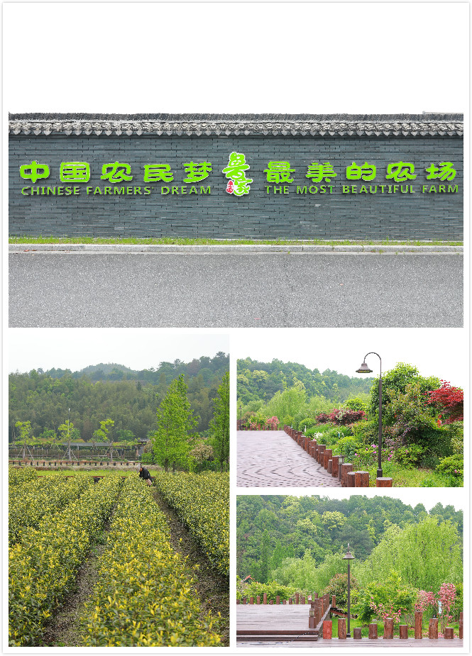 2、魯家村風(fēng)景（合成）