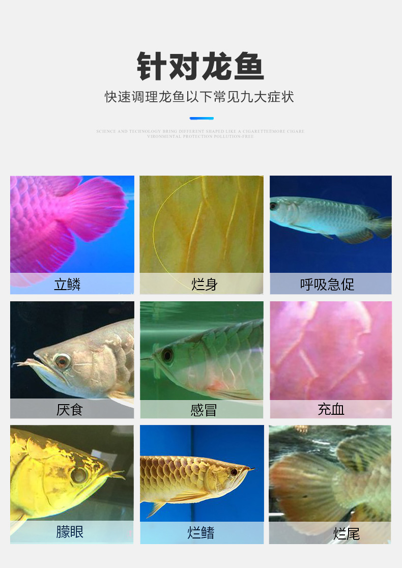 龍魚(yú)專用藥