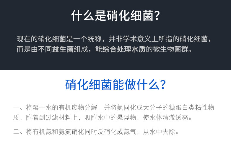 硝化細(xì)菌